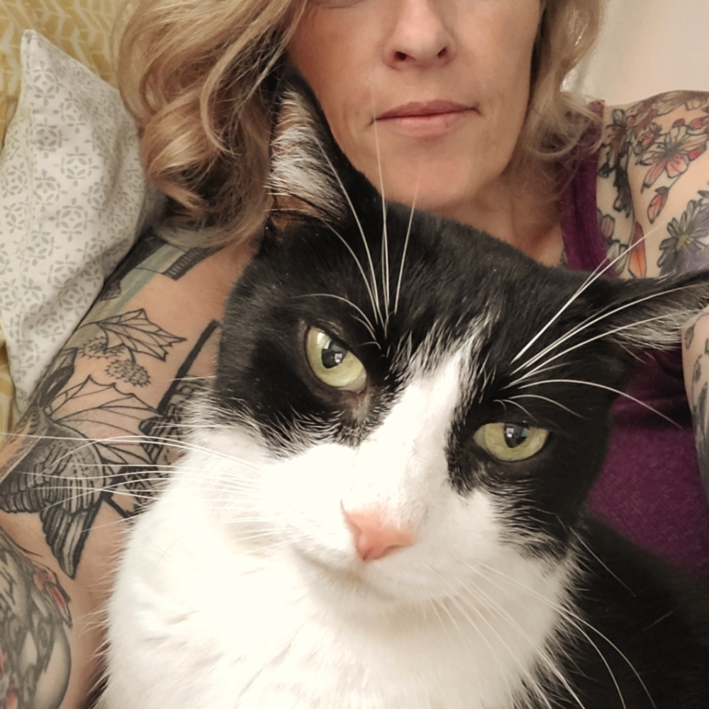 Meet your Posher, Kittyhawk